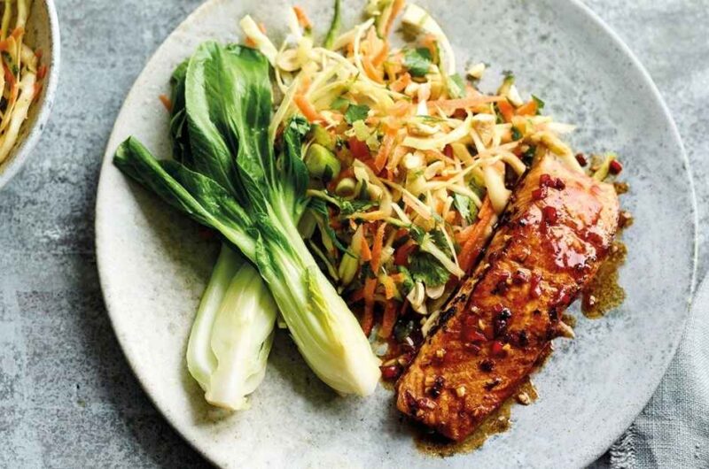 Asian Salmon Fillets Recipe